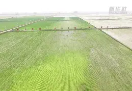 ?饣2``€糼f显Lp糶?]?恨煏旀>棥-泛亚app下载